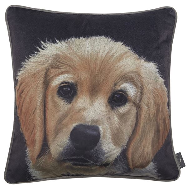 lavish_ Butter Golden Retriever Painted Dog Cushion, perfect for Southport-themed home decor.