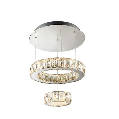 lavish_ Modern 2LT LED flush ceiling light with two concentric crystal rings, an essential piece of home decor, suspended by wires from a metal ceiling mount.