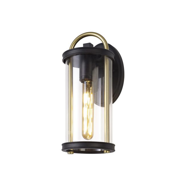 lavish_ Modern Finley Small wall-mounted lamp with a clear glass enclosure and exposed filament bulb.