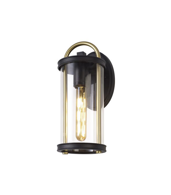 lavish_ Modern Finley Small wall-mounted lamp with a clear glass enclosure and exposed filament bulb.