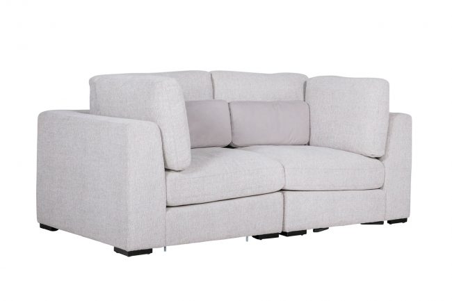 lavish_ Modern light gray two-seater sofa with cushions on white background.